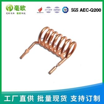 康銅電阻 錳銅電阻 線徑1.5mm 腳距10mm 10毫歐 采樣電阻 電流檢測電阻